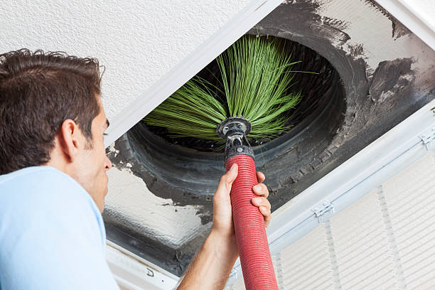 Air Duct Mold Removal in Tucson Mountains, AZ